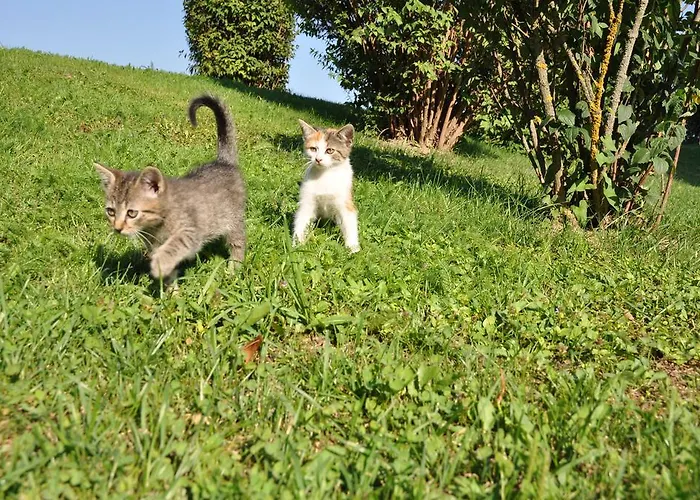 Apartman Karglhof Stammhaus