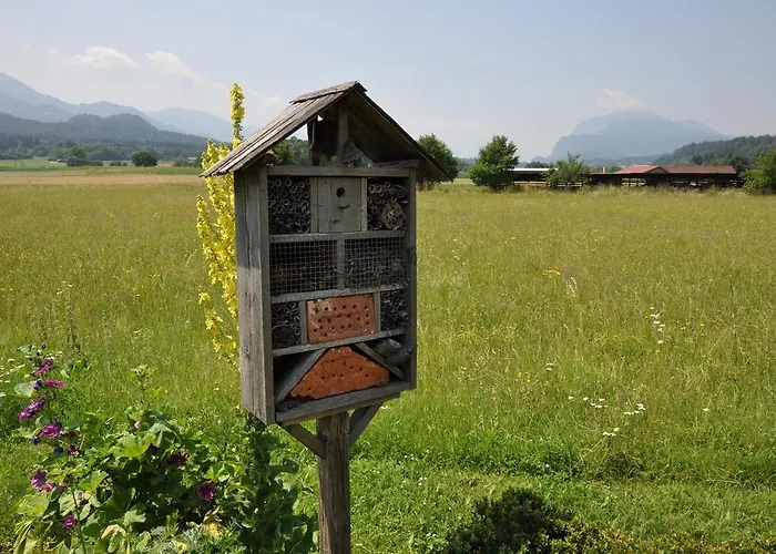 Karglhof Stammhaus Apartman *
